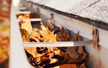 Edmonton gutter cleaning companies