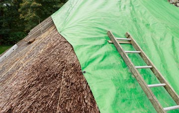 maintaining Edmonton thatch